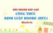 Công thức định luật Húc (HOOKE) lớp 10?